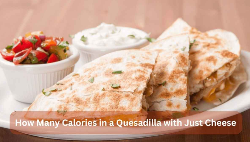How Many Calories in a Quesadilla with Just Cheese
