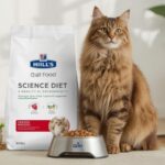 hills science diet cat food